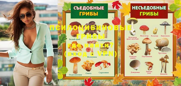 дживик Алзамай